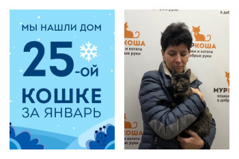 Кошечка Девчуля рада познакомить вас со своей хозяйкой!