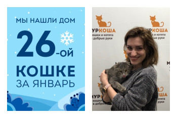 Кошка Энка встретила хозяйку спустя два месяца в приюте!