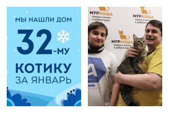 Мы нашли суперсемью для двухлетнего кота Колоска!