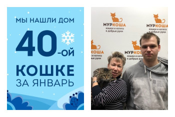 Кошка Шуба снова стала домашней после смерти хозяйки