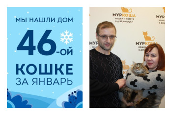 У двухлетней Молины появилась семья и уютный дом!