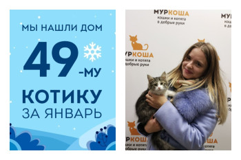 Прошло меньше месяца, а Ворсик уже обрёл свою хозяйку!