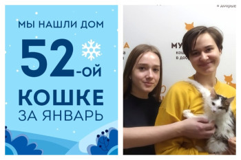 Дива стала домашней за три недели!