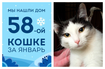 Провожаем домой десятимесячную Грау!