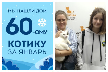 Уличный кот Малыш Блонд стал домашним!