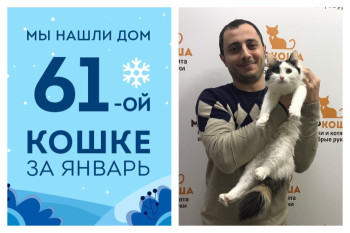Ура! У кошечки Доры из подвала появился хозяин!
