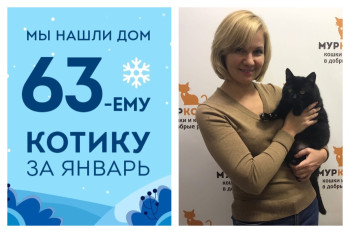У кота Тихомира появилась хозяйка!