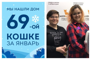 Это невероятно! Особенная кошечка Брина стала домашней!