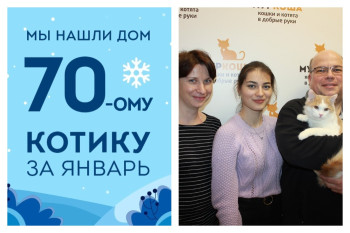Так вот кого ждал котик Флоксик!