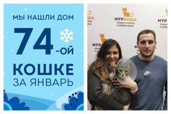 За кошкой Металликой приехала семья!