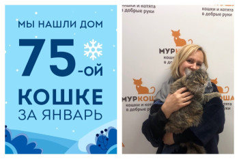 Элинор стала домашней за два месяца!