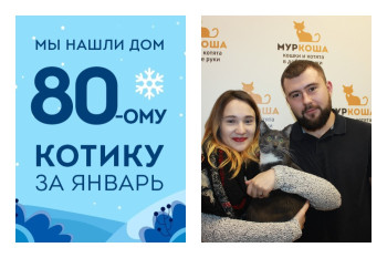 Уезжает в новый дом котик Рафаэлкин!