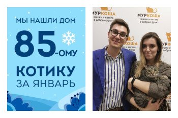 Уличный котик Элвис стал домашним любимцем!