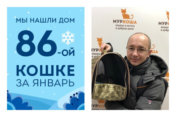 Провожаем домой четырехлетнюю кошку Пенелопу!