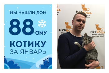 Спустя месяц в приюте домой уезжает кот Зонтик!