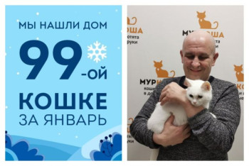 Спустя полтора месяца в приюте уезжает в новый дом кошка Миюша!