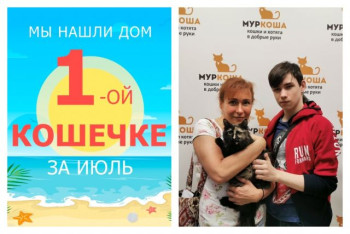 Дружелюбная кошечка Зося стала домашней!