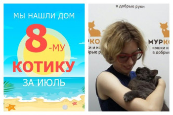 Котик Чаки отправился в новую домашнюю жизнь!