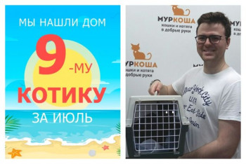 У кота Бегемотика появились дом и семья!
