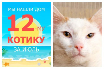 У котика Максимки появилась заботливая семья!