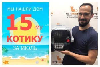 Котик Неаполь уезжает в новый дом!