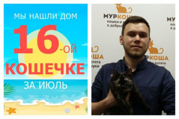 Кошечка Фаина теперь домашняя и любимая!