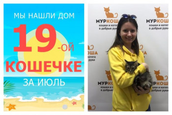 Кошечка Фурия встретила любящую хозяйку!