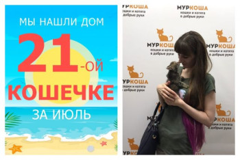 Малышка Бараночка стала домашней за две недели!