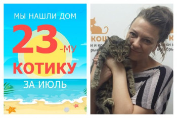 Котенок Кэш рад познакомить со своей прекрасной хозяйкой!