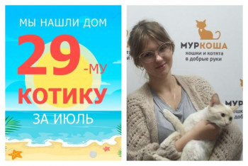 Котик Паспарту отправился в свой новый дом!