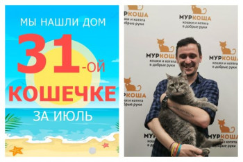 Трехлетняя кошечка Дельфина стала домашней за полтора месяца!