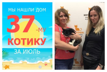 Котик Алмаз встретил свою заботливую семью!