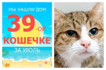 У кошечки Таши начинается новая жизнь!
