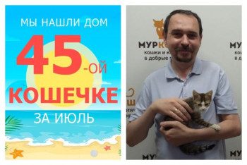 Трехмесячная Пшёнка нашла дом за три недели!