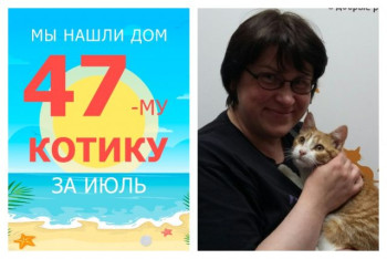 Лесовичок уезжает в новый дом!