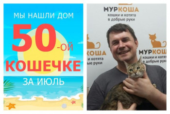 Кошечка Шанежка нашла новый дом за один месяц!