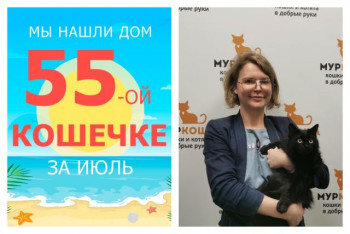 Милая Мамба нашла новый дом за две недели!
