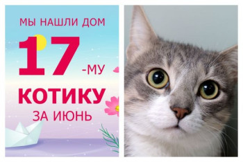 Котик Кольт начинает новую жизнь!