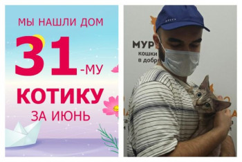 Котик Ярослав начинает жизнь с чистого листа!