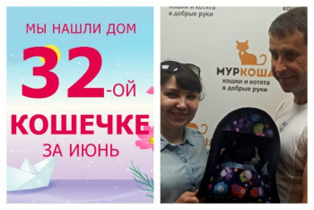Трехлетняя кошечка Мурсия стала домашней и счастливой!