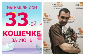 Кошечка Императрица встретила заботливого хозяина!