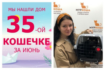 Кошечка Шакти уезжает в новый дом!