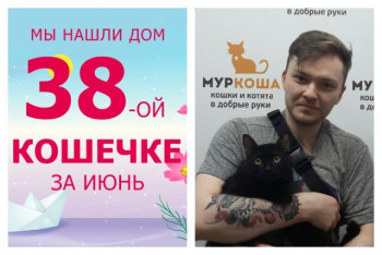 Кошечка Хейси стала домашней любимицей!