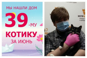 Сказочно прекрасный котик Баюн встретил заботливую семью!