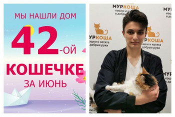 Кошечка Симуля начинает жизнь с чистого листа!