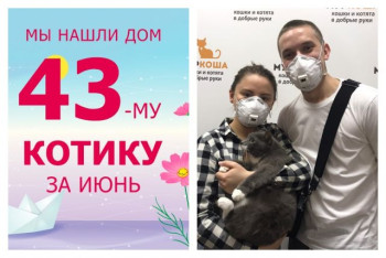Котик Серёга снова стал домашним и любимым!