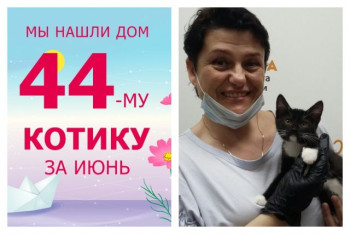 Котенок Тильтиль отправился в счастливое домашнее детство!