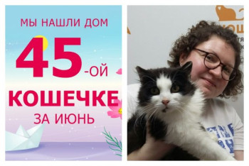 Кошечка Мадэ уехала в новый дом!
