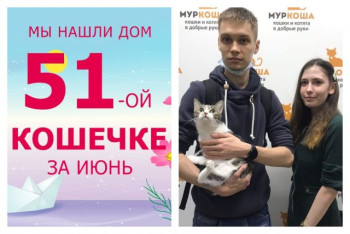 Кошечка Васятка вытянула второй счастливый билет домой!