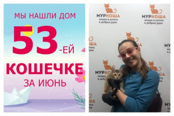 Малышка Чейси нашла дом за один месяц!